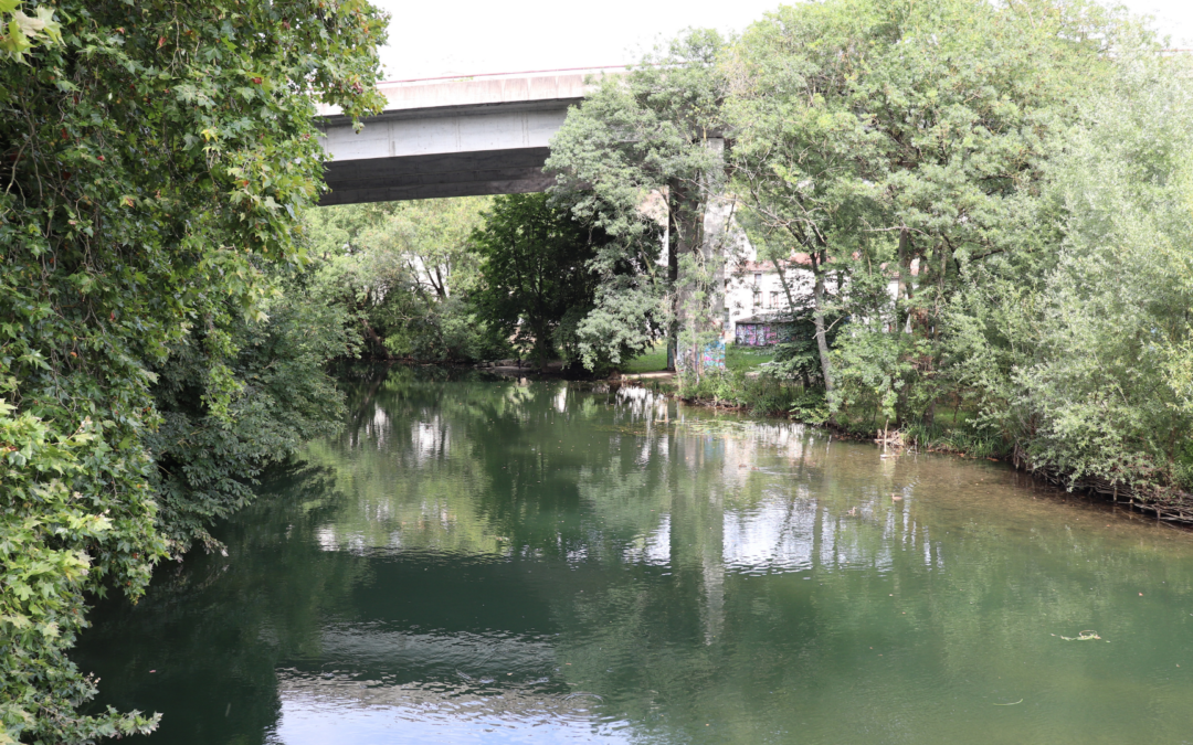 Poitiers : La Ville Où L&rsquo;Humour Est Roi Sans Qu&rsquo;on Le Sache !